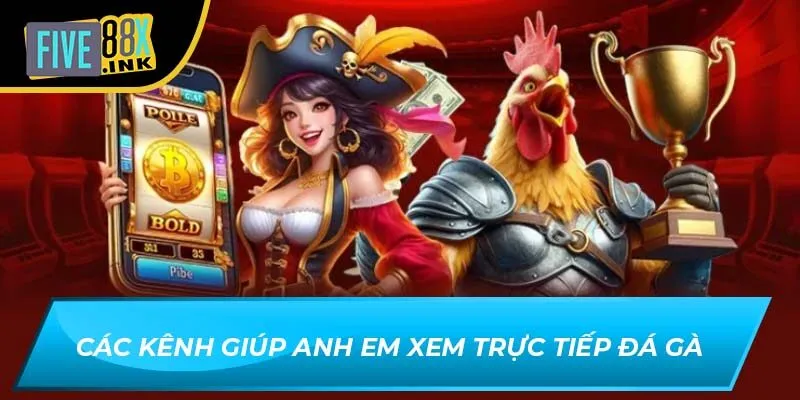 Các kênh giúp anh em xem trực tiếp đá gà