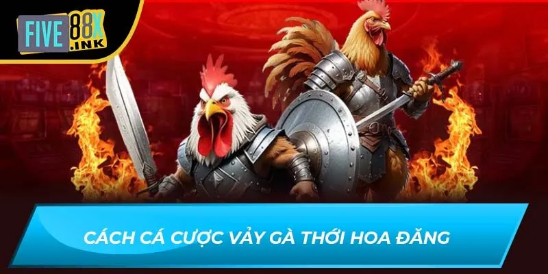 Cách cá cược Vảy gà thới hoa đăng