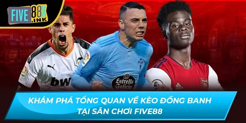 kham pha tong quan ve keo dong banh tai san choi five88