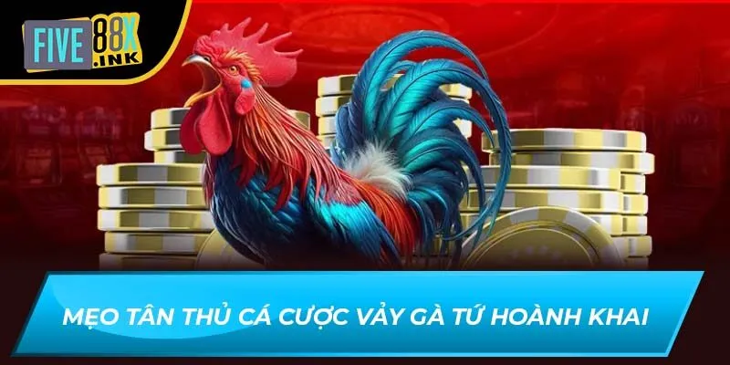 Mẹo tân thủ cá cược Vảy gà Tứ Hoành Khai
