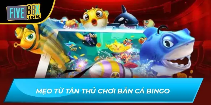 Mẹo từ tân thủ chơi bắn cá bingo