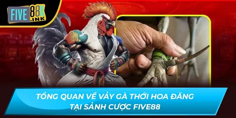 tong quan ve vay ga thoi hoa dang tai sanh cuoc five88