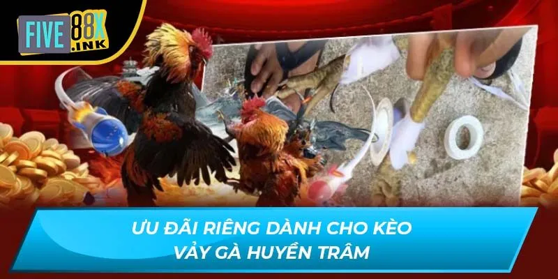 Ưu đãi riêng dành cho kèo vảy gà Huyền Trâm