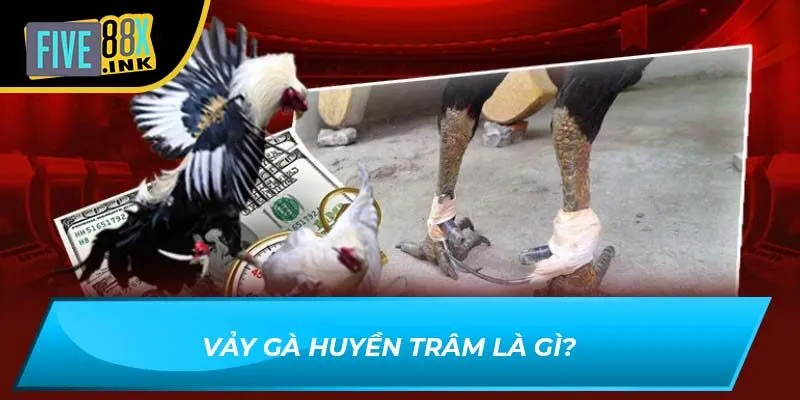 Vảy gà Huyền Trâm là gì?