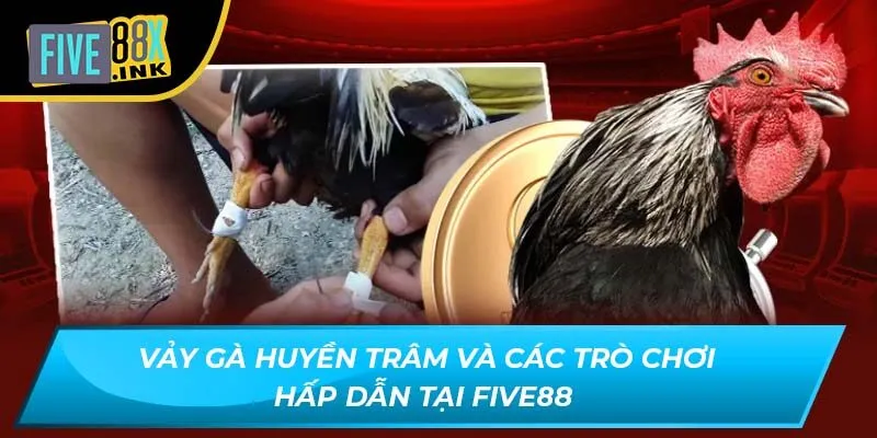 vay ga huyen tram va cac tro choi hap dan tai five88