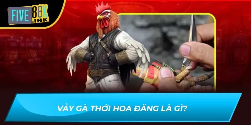 Vảy gà thới hoa đăng là gì?