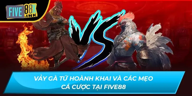 vay ga tu hoanh khai va cac meo ca cuoc tai five88