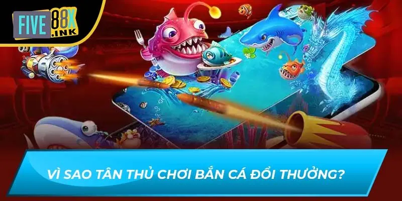 Vì sao tân thủ chơi bắn cá đổi thưởng?