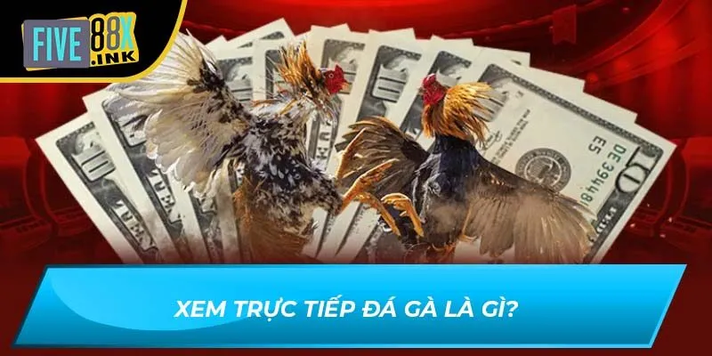 Xem trực tiếp đá gà là gì?