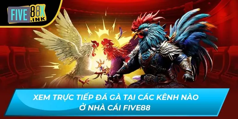 xem truc tiep da ga tai cac kenh nao o nha cai five88